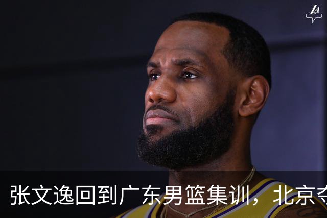 张文逸回到广东男篮集训，北京夺冠功勋确定退役，上海欲续约弗格